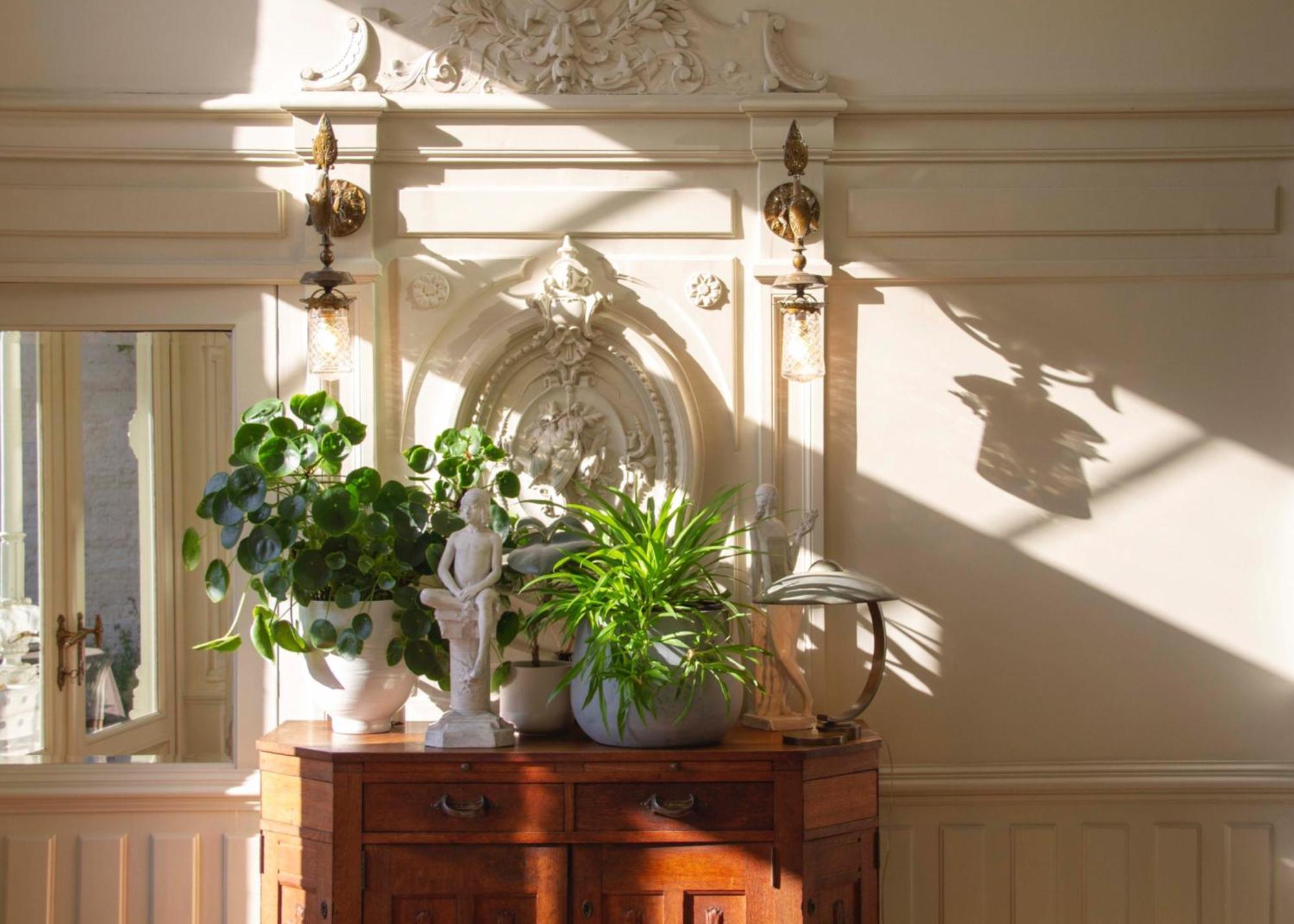 Huis Dujardin Bed&Breakfast Anvers Dış mekan fotoğraf