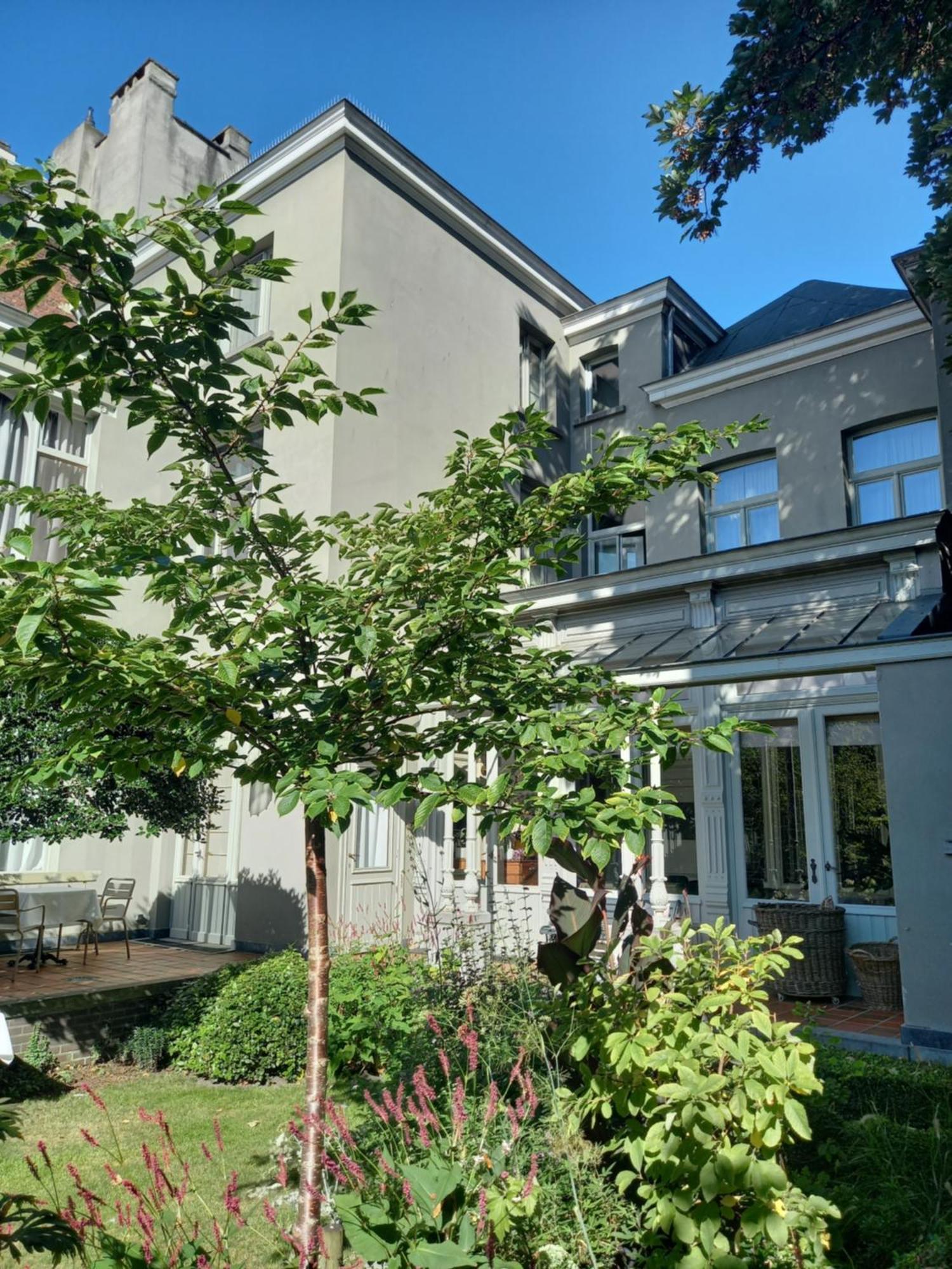 Huis Dujardin Bed&Breakfast Anvers Dış mekan fotoğraf