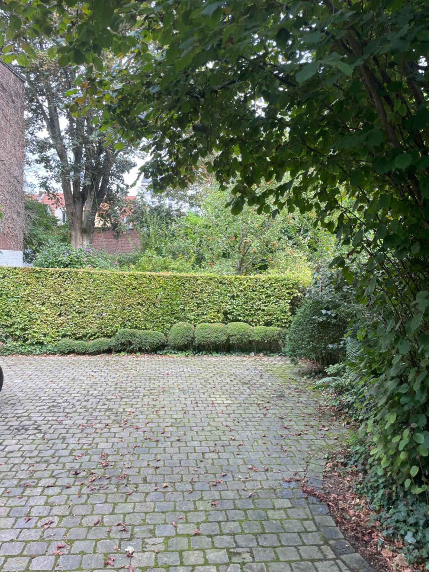 Huis Dujardin Bed&Breakfast Anvers Dış mekan fotoğraf